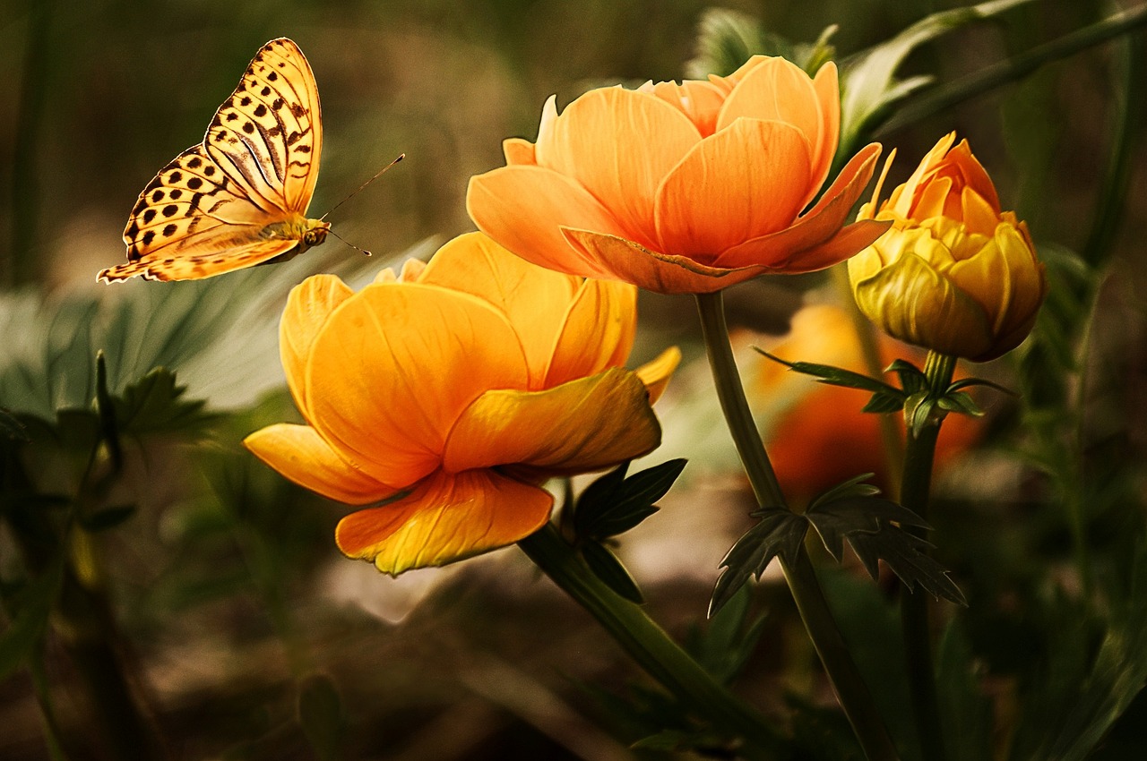 cremation services in destrehan, la
