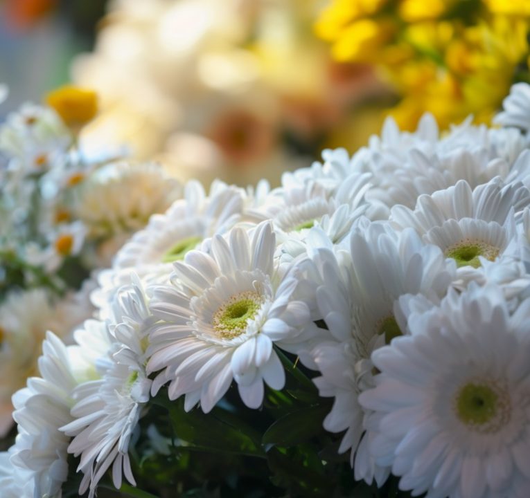 funeral homes in Destrehan, LA1